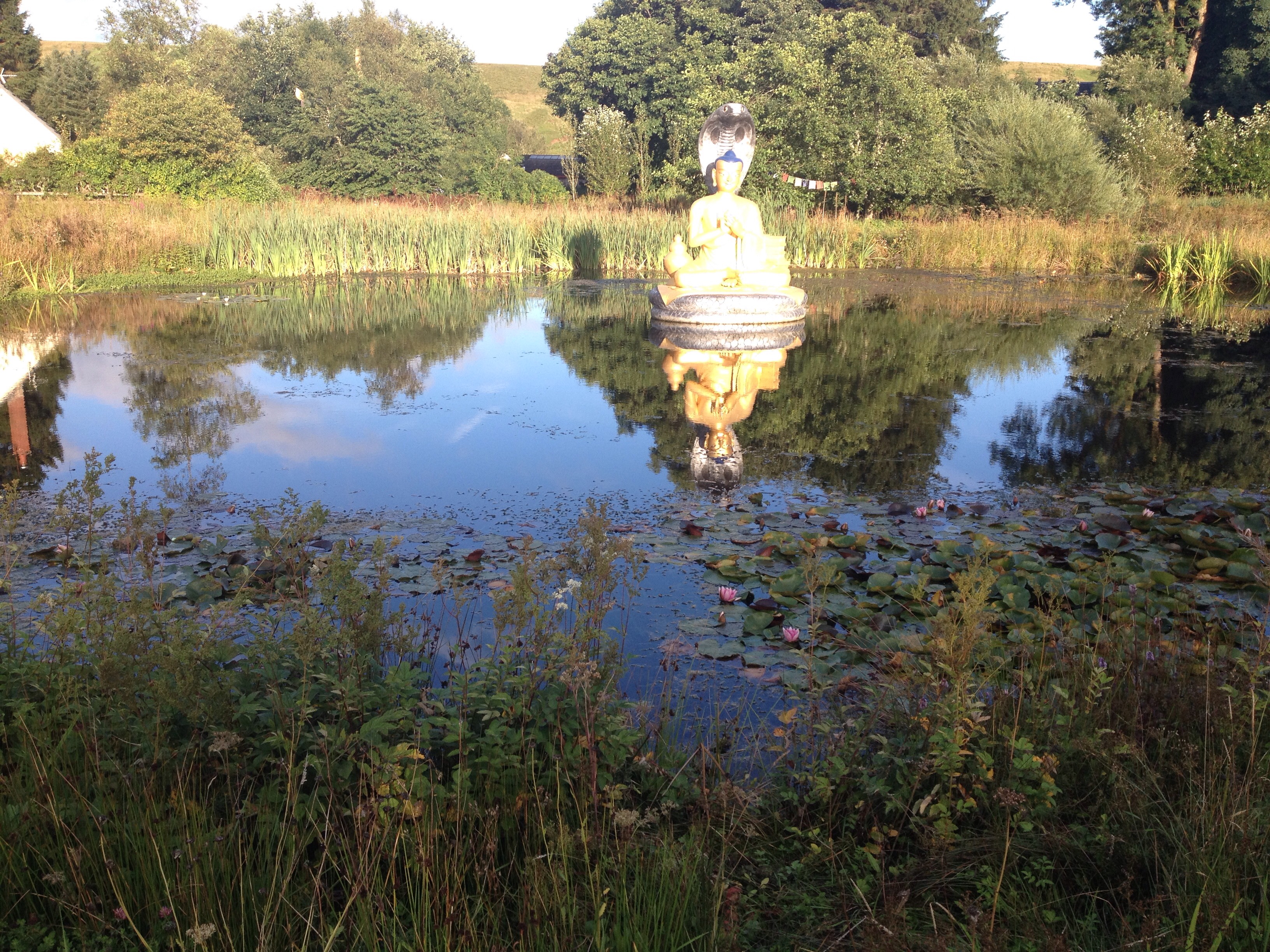 An evening stroll – Day two of my retreat at Samye Ling