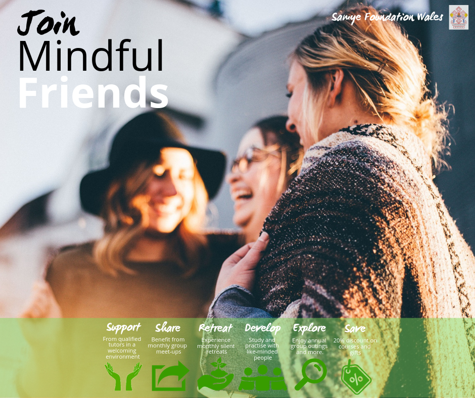 Mindful Friends Landscape Image Mindful Friends Landscape Image