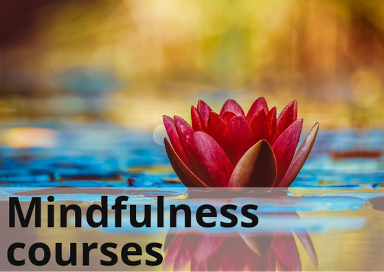 Mindfulness Courses Homepage Image Black on White