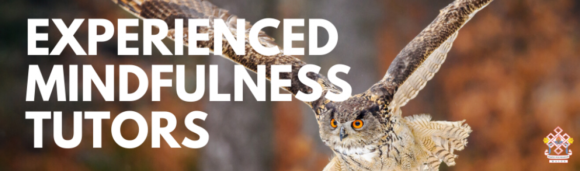 Experienced mindfulness tutors