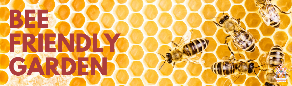 Bee friendly garden