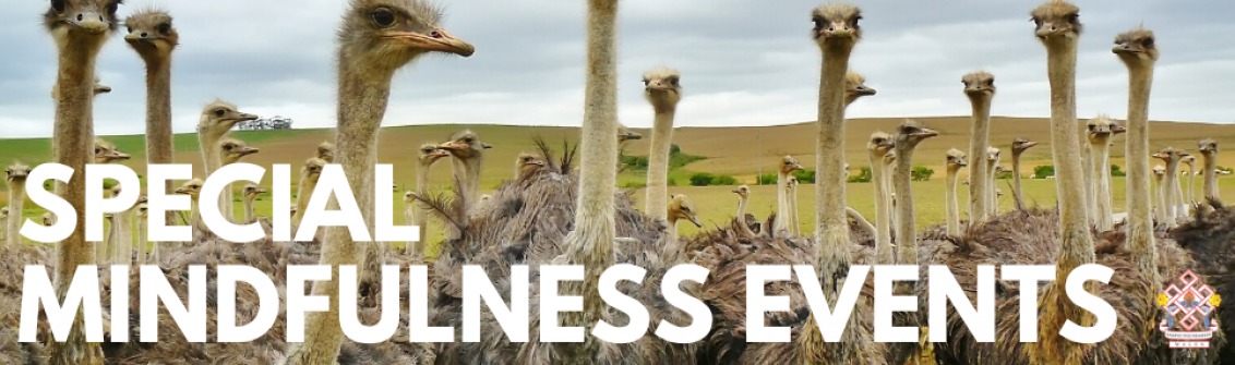Special mindfulness events